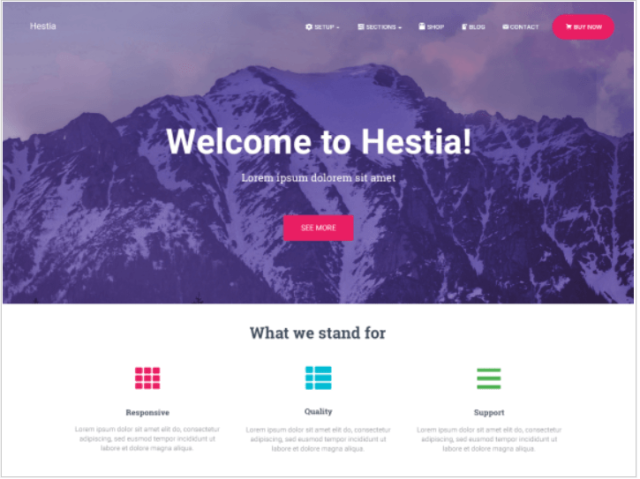 Hestia - Overview
