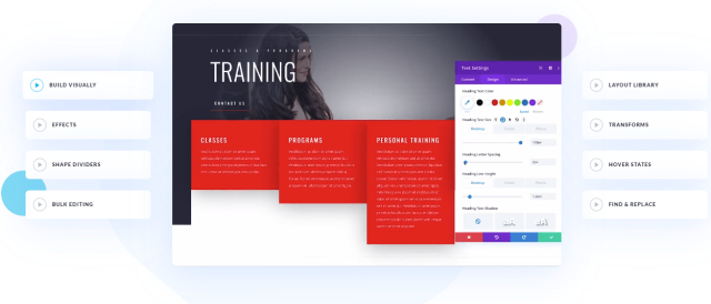 Divi Builder