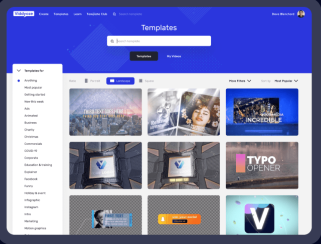 Viddyoze Review: Template