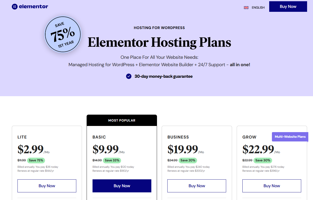 Elementor Discount Page